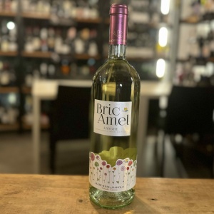 Bric Amel Langhe Doc Bianco 2022