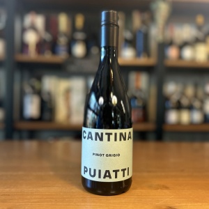 Pinot Grigio 2023 Friuli Doc